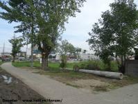 Imagine atasata: Extindere troleibuz Calea Lipovei - 2015.10.10 - 11.jpg